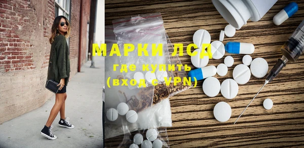 PSILOCYBIN Беломорск