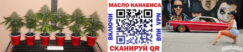 shop Telegram  Ермолино  Дистиллят ТГК концентрат 