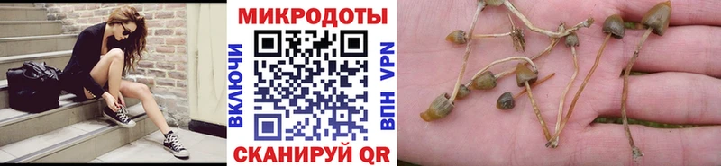 Галлюциногенные грибы мицелий shop какой сайт Ермолино цена